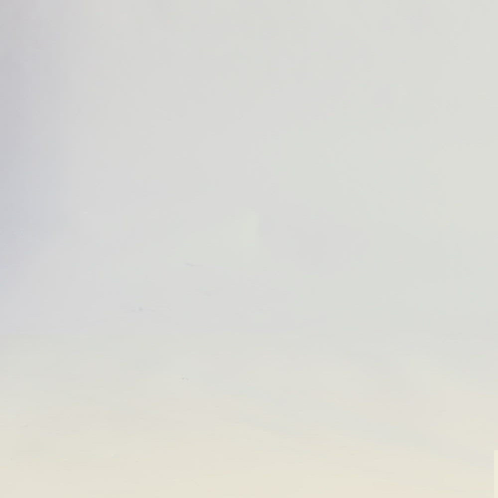 ELISSA Zebra Print Ankle Boots-Zebra