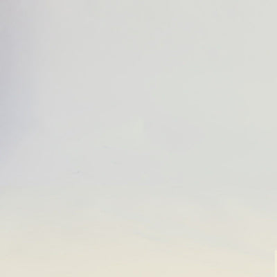 ELISSA Zebra Print Ankle Boots-Zebra